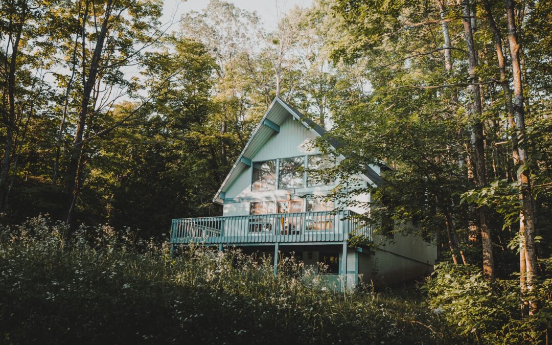 A beautiful wooden cabin nestled in Harbor Springs' lush forest setting.