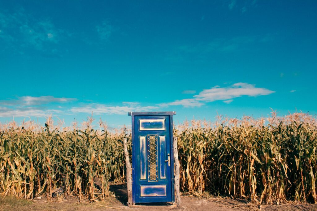 Blue door standing amidst a cornfield under a bright sky in Uruguay, showcasing artistic contrast.
