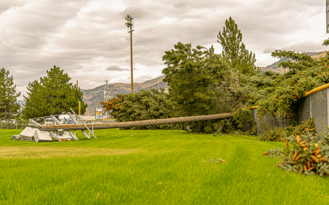 Fallen trees and electric poles after a storm in Hyrum, Utah field.