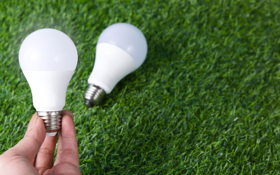 Hand holding LED light bulb on a grass surface, representing energy efficiency.