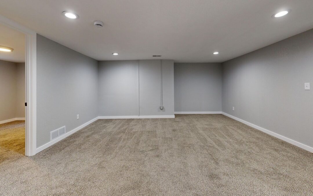 Open basement room with neutral gray walls and plush carpeting, ideal for remodeling.