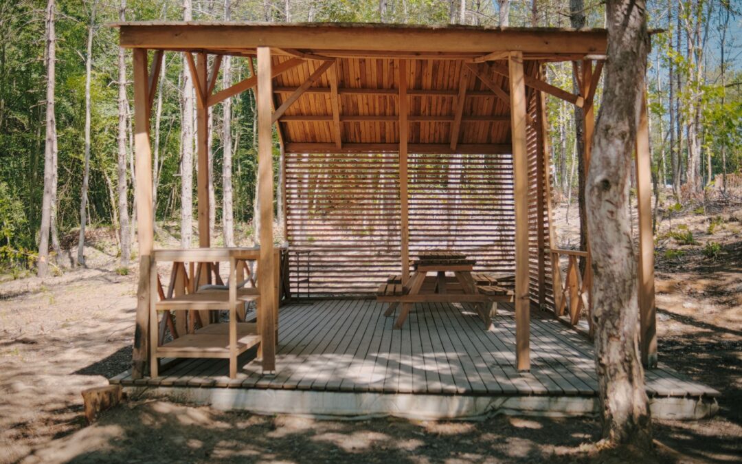 Wood Deck Options for Greenville, MI Homeowners