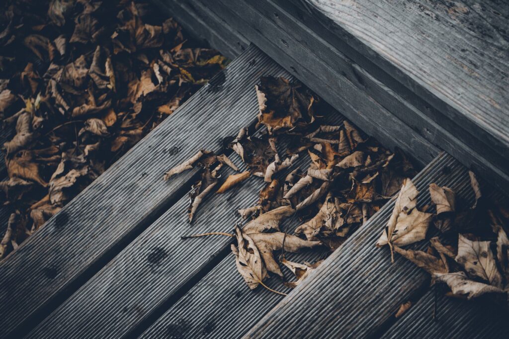 A serene close-up of dry autumn leaves scattered on a weathered wooden deck, capturing the essence of fall.