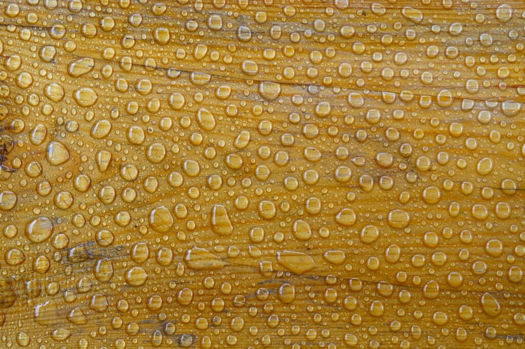 Detailed close-up of water droplets on a wooden surface, showcasing texture and pattern.