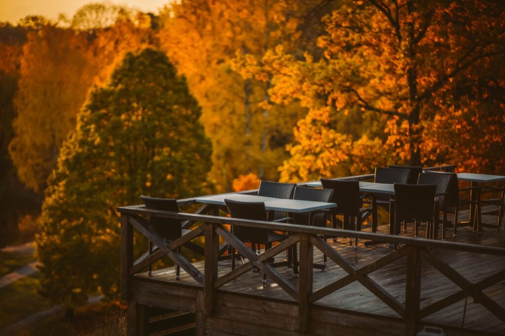 Scenic deck overlooking vibrant autumn foliage in Solna, Stockholm County.