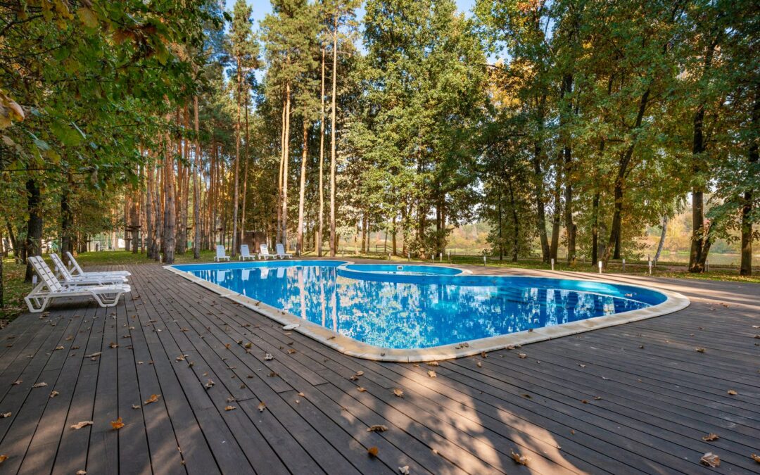 Serene outdoor pool deck with sun loungers amongst tall trees, ideal for a summer retreat.